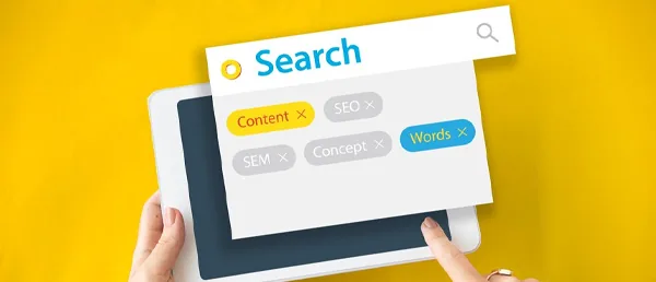 Seo Nw